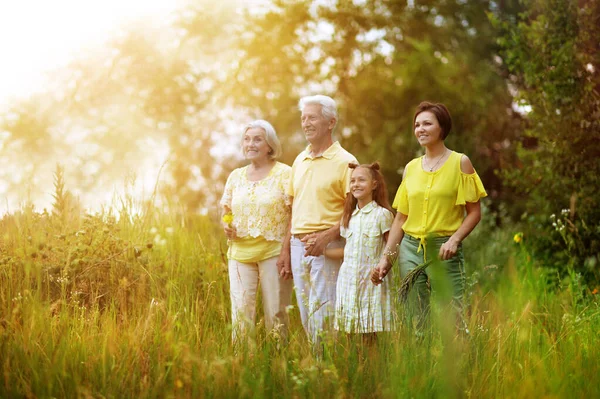 Happy Family Posing Field — 图库照片