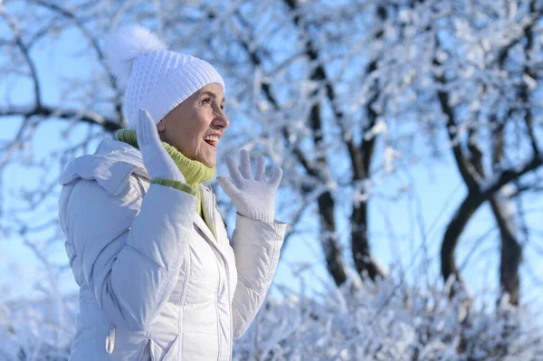 Beautiful Senior Woman Posing Snowy Winter Park — Stok fotoğraf