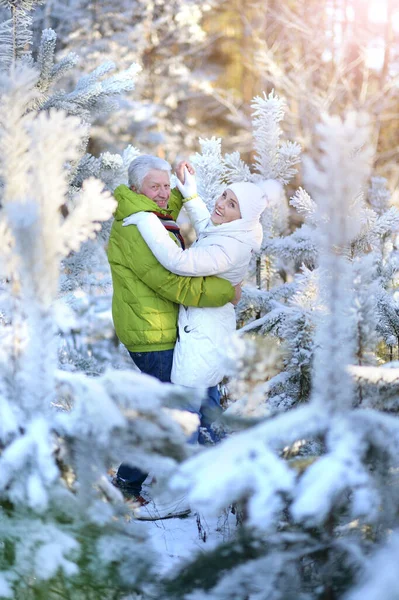 Happy Senior Couple Snowy Winter Park — Stock Photo, Image