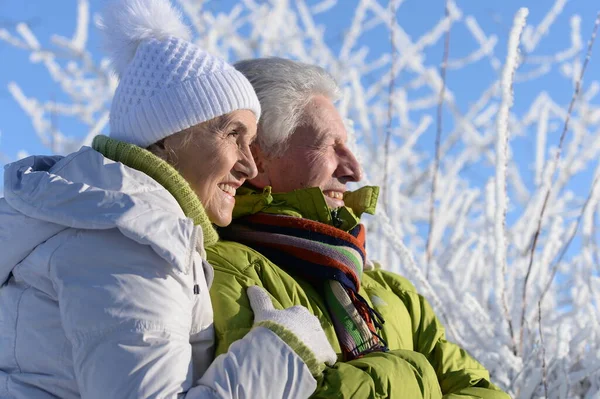 Szczęśliwa Para Seniorów Zaśnieżonym Zimowym Parku — Zdjęcie stockowe