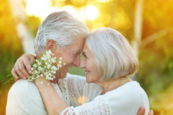 Happy Senior Couple Embracing Summer Park — Stock Photo, Image