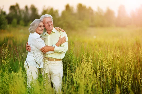Happy Senior Couple Hugging Summer Park — Stock fotografie