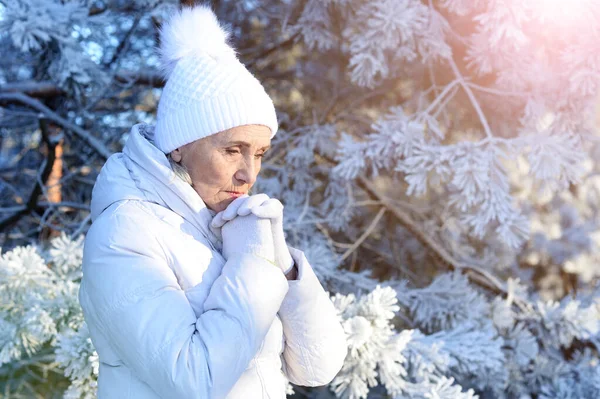 Сумна Красива Старша Жінка Позує Засніженому Зимовому Парку — стокове фото