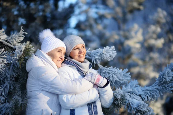 Щасливі Жінки Зимовому Одязі Позує Відкритому Повітрі — стокове фото