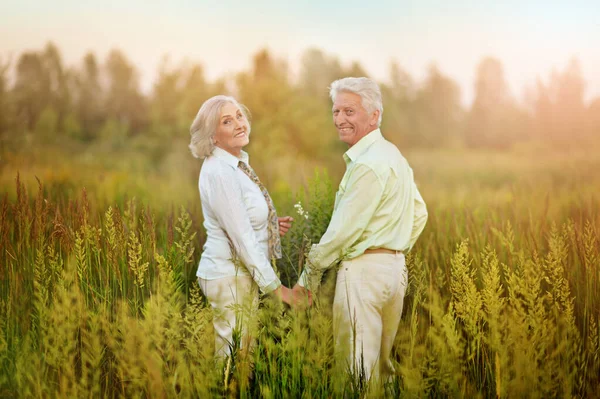 Happy Senior Couple Holding Hands Summer Park — стоковое фото