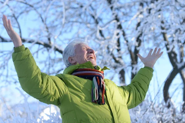 Ευτυχισμένος Ηλικιωμένος Στο Χιονισμένο Χειμερινό Πάρκο — Φωτογραφία Αρχείου