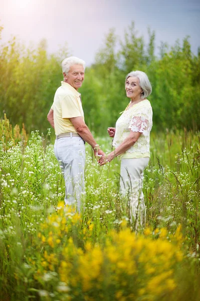 Happy Senior Couple Holding Hands Summer Park — Stock Fotó
