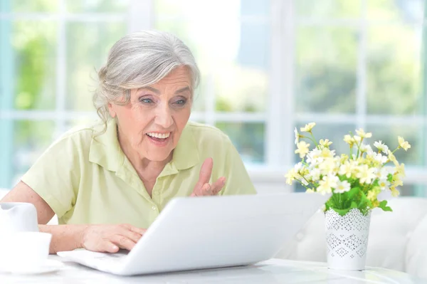 Mulher Sênior Usando Laptop Casa — Fotografia de Stock