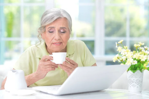 Seniorka Korzystająca Laptopa Domu — Zdjęcie stockowe