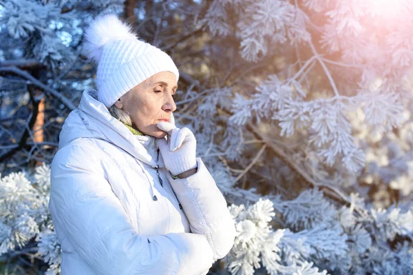 Сумна Красива Старша Жінка Позує Засніженому Зимовому Парку — стокове фото