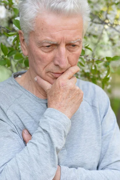 Porträt Eines Denkenden Seniors Park — Stockfoto