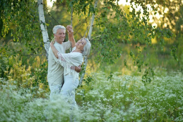 Felice Coppia Anziani Ballare Nel Parco Estivo — Foto Stock