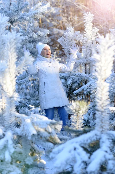 快乐美丽的老年女子在雪地的冬日公园里摆姿势 — 图库照片