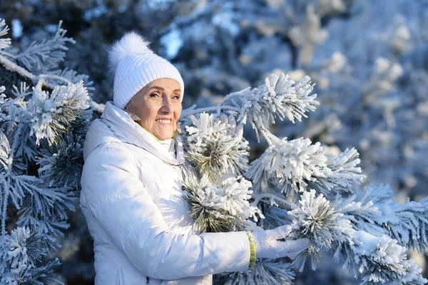 Happy Beautiful Senior Woman Posing Snowy Winter Park — Stock Photo, Image
