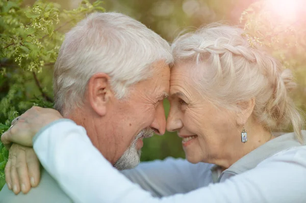 Gelukkig Senior Paar Poseren Zomer Park — Stockfoto
