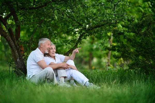 Happy Senior Couple Posing Summer Park Woman Showing Something — Stock Photo, Image