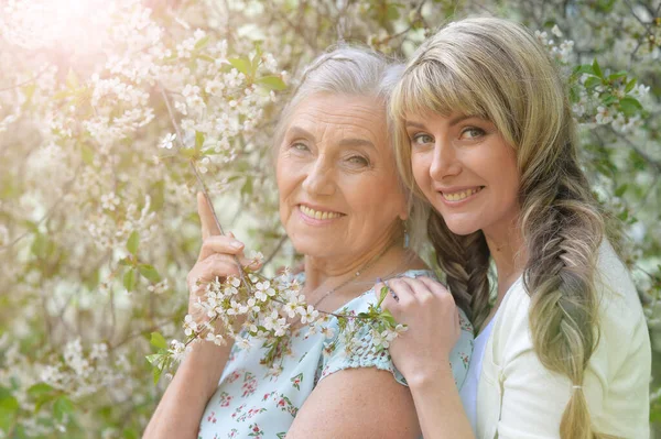 Portret Van Twee Mooie Gelukkig Glimlachende Senior Vrouw Met Haar — Stockfoto