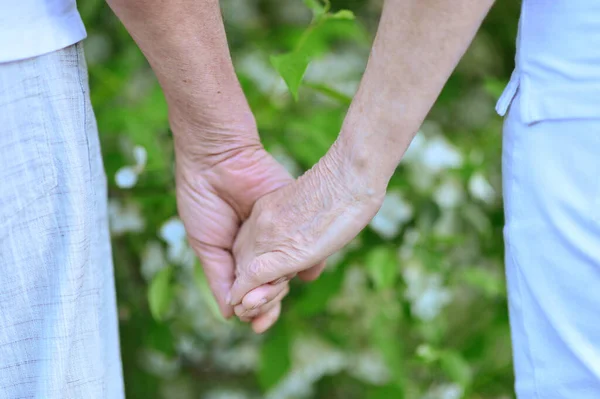 Couple Holding Hands Park — Stock Photo, Image