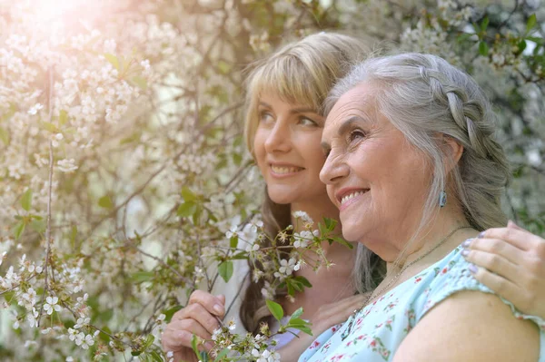 Portret Van Twee Mooie Gelukkig Glimlachende Senior Vrouw Met Haar — Stockfoto