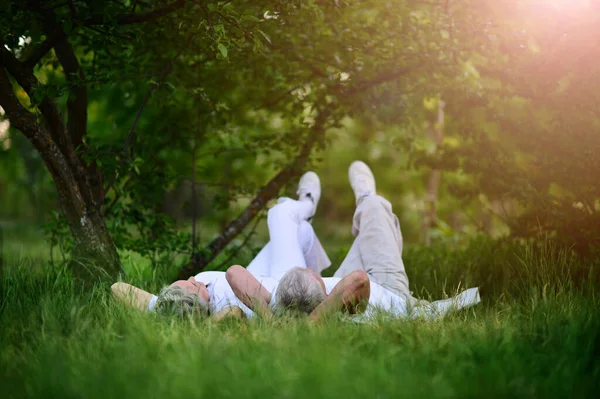 Glückliches Senioren Paar Posiert Gras — Stockfoto