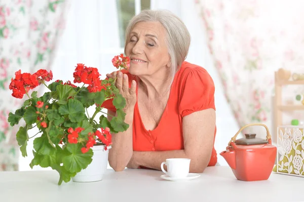 Schöne Lächelnde Seniorin Trinkt Kaffee — Stockfoto