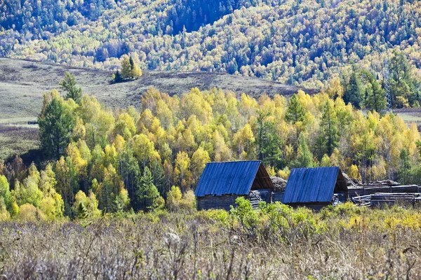 Сіньцзяні, Китай: осінні краєвид — стокове фото