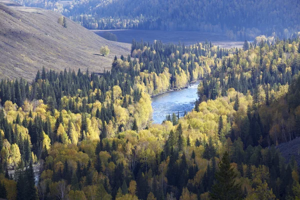 Xinjiang, Chine : vallée de la rivière Images De Stock Libres De Droits