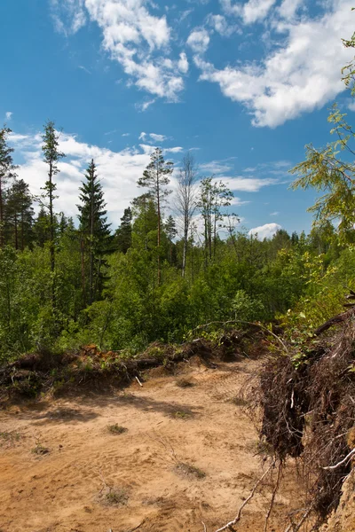 Abandoned road — Stock Photo, Image