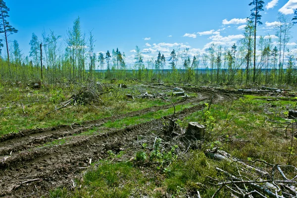 Abandoned road — Stock Photo, Image