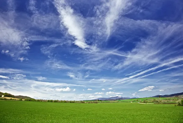 Himmel und Wiesen — Stockfoto