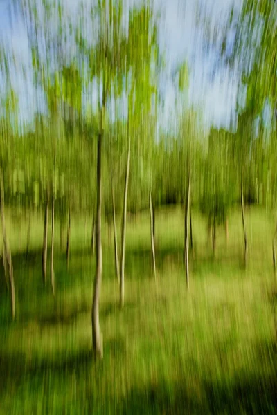 Nature abstract — Stock Photo, Image