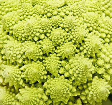 Romanesco brokoli yakın çekim