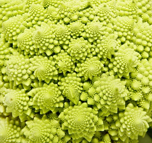 Romanesco broccoli close up — Stock Photo, Image