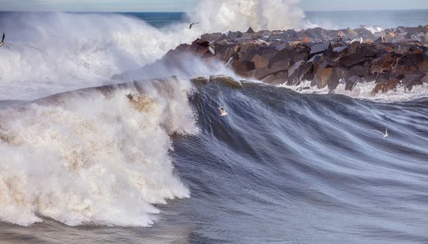 Grandes vagues à Donostia — Photo