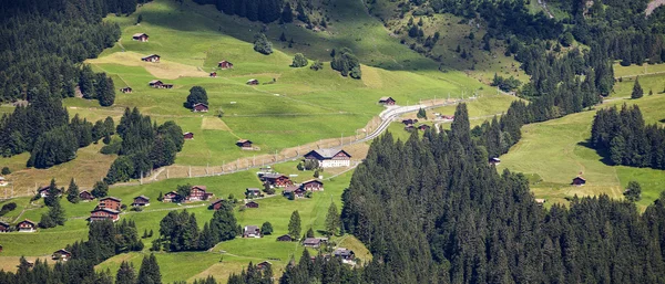 Švýcarské farmy — Stock fotografie