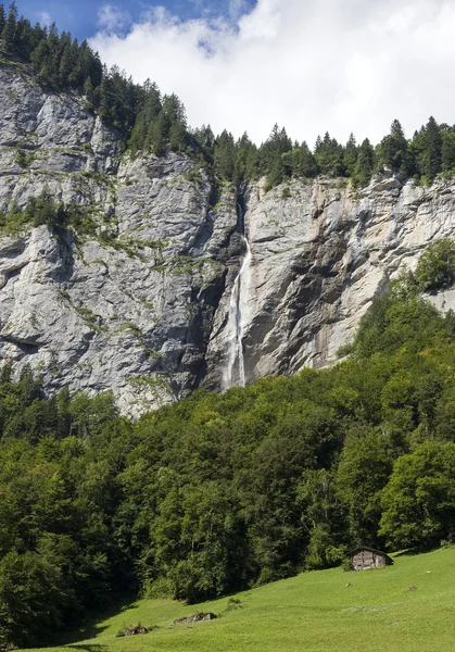 Buchenbachfalle — Foto de Stock