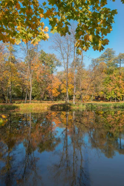 Bialystok Parkı 'nda sonbahar manzarası