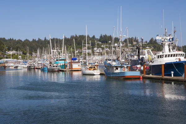 Newport Marina — Stockfoto