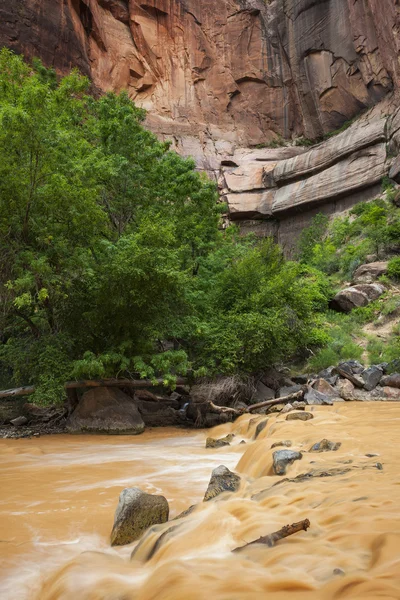 Zion Nehri — Stok fotoğraf