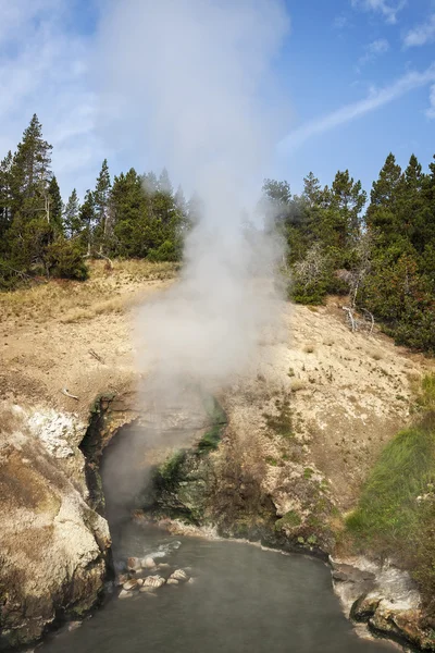 Dragon's mun våren — Stockfoto