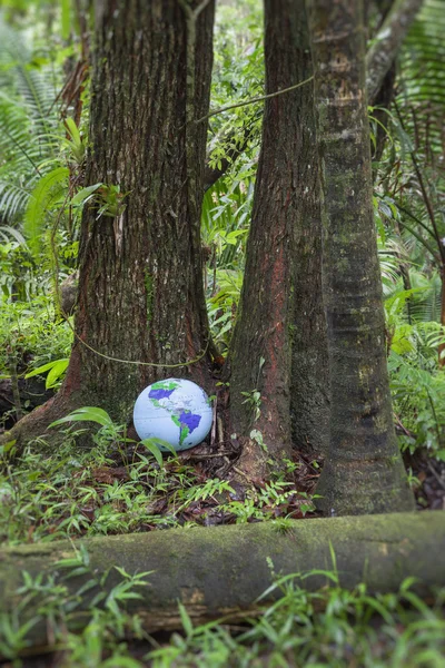 Globe gonflable en forêt tropicale — Photo