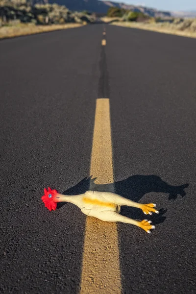Резиновая курица на дороге — стоковое фото