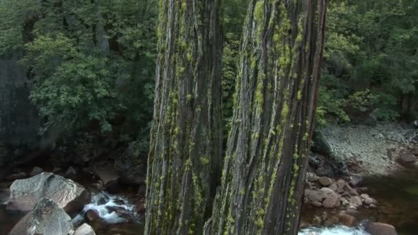 Merced River — Stockvideo