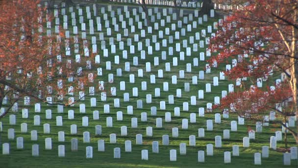 Cemitério Nacional de Arlington — Vídeo de Stock