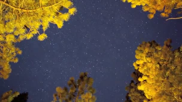 Gece gökyüzü, zaman atlamalı — Stok video