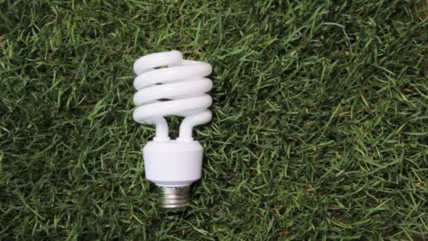 Energibesparande glödlampa — Stockvideo