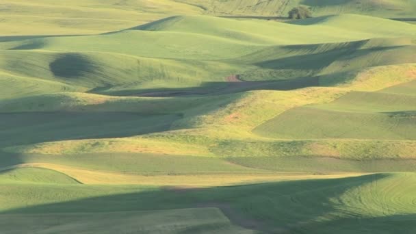 Vaste Rolling Hills — Video