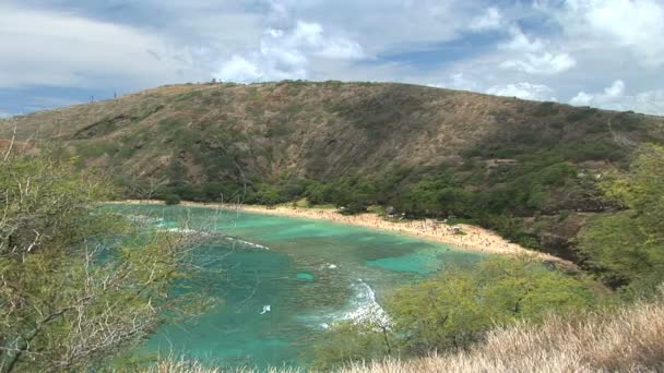 Hanauma Bay — Stockvideo