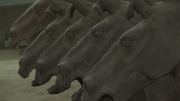 Terra cotta paarden — Stockvideo