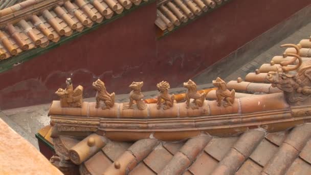Animales de cerámica en techo — Stockvideo